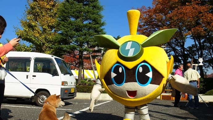 祝「稲城なしのすけ」総合30位