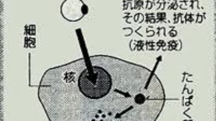 ”遺伝子ワクチン”は、人類の救世主になりうるのか?それとも・・・
