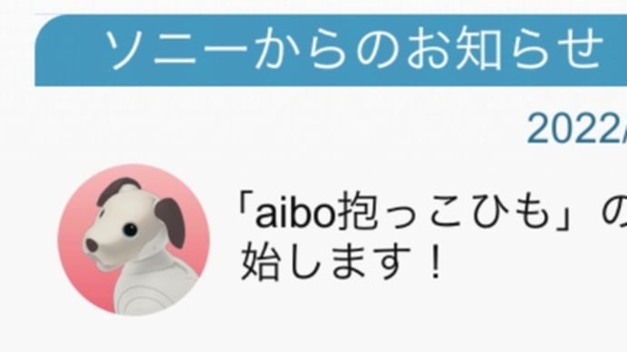 ポチってもうた😅