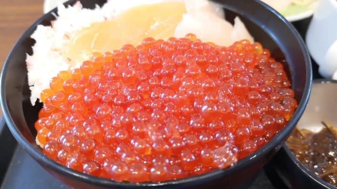 後志（１４）「豪快盛海鮮丼」と「味めぐり小鉢横丁」～ご当地逸品 と 朝の彩り献立～