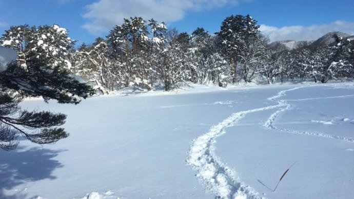 除雪作業そして除雪作業