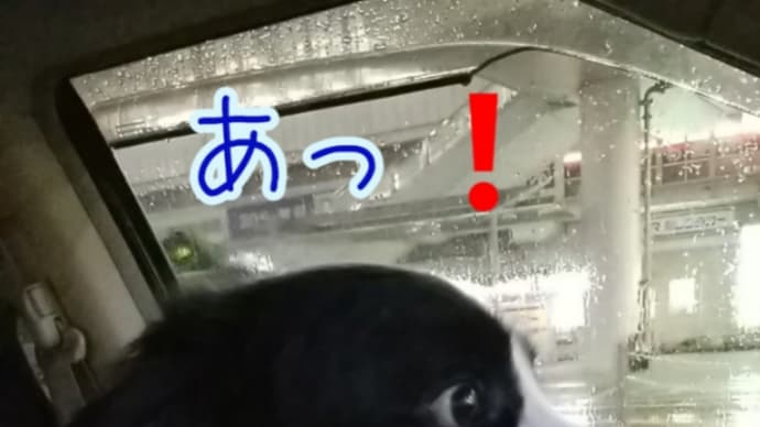 あの雨の歌は好きじゃないけど