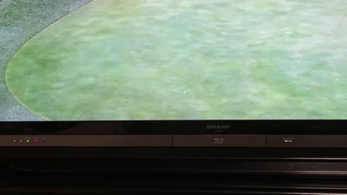 日本オープン制覇 蝉川泰果完全優勝