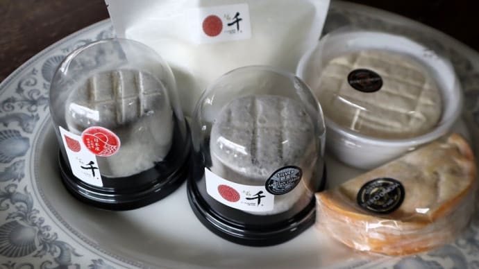 大多喜町、チーズ工房千(せん)でナチュラルチーズを買いました。