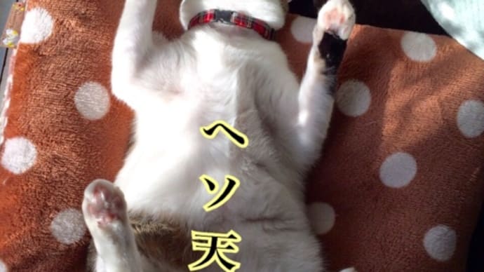 8月30日、月曜日です