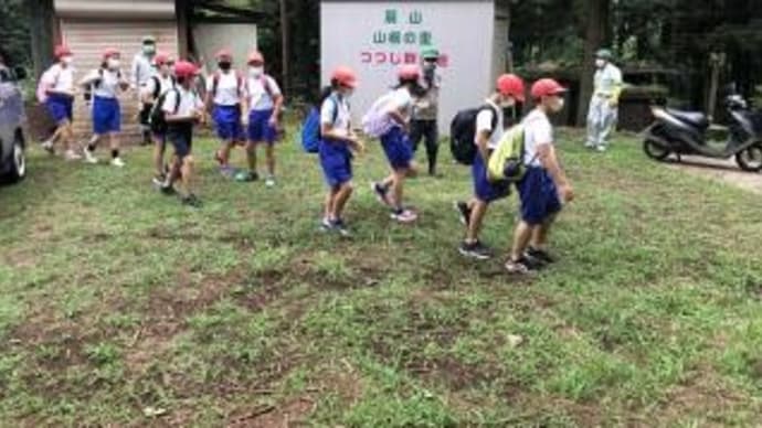 間伐隊 扇山アタック リメンバー!