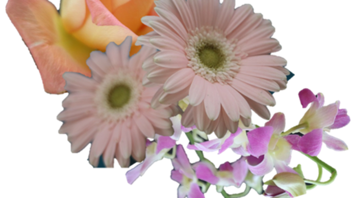 2/7 めぐり~一輪挿しの花たち & 絵手紙(3)