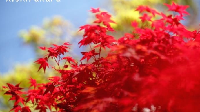 この時だけ