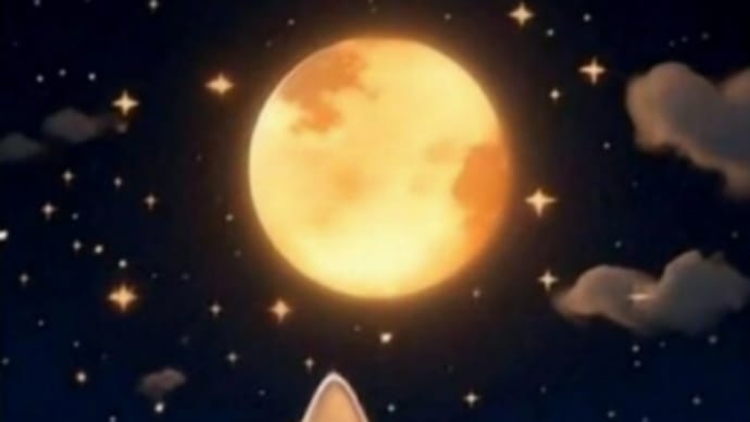 おはようございます❗🐈