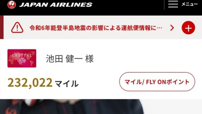 『JALのサイトで決済でほぼ必ずシステムエラーが出ていたが···』