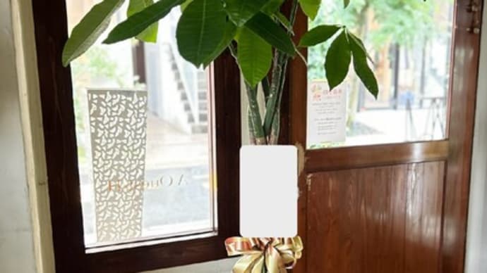 開店お祝いに観葉植物