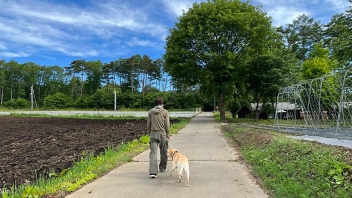 旅行7日目、帰る日