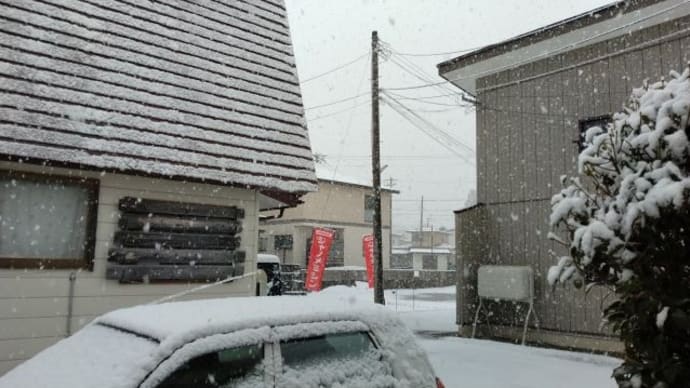 なごり雪?