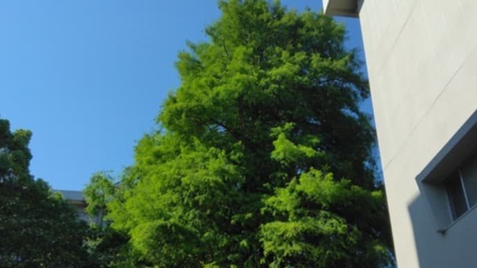 高知大学にて