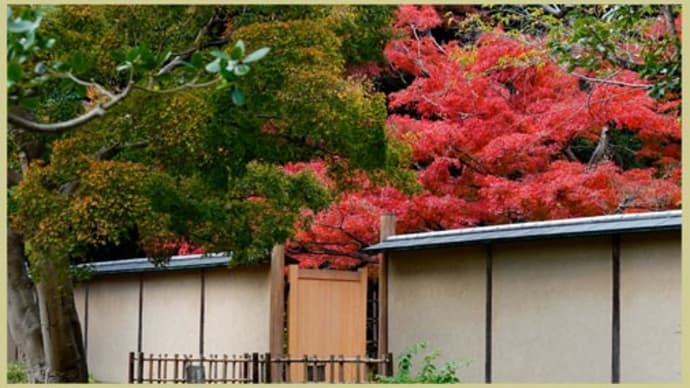 万博・万里庵の紅葉