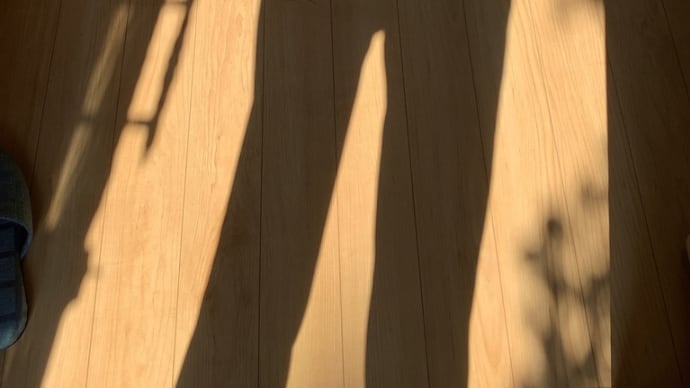 太陽光線 陽射しの有難さ!