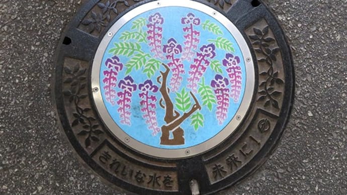 藤ベーシックバージョン【岡山県・倉敷市2/3】