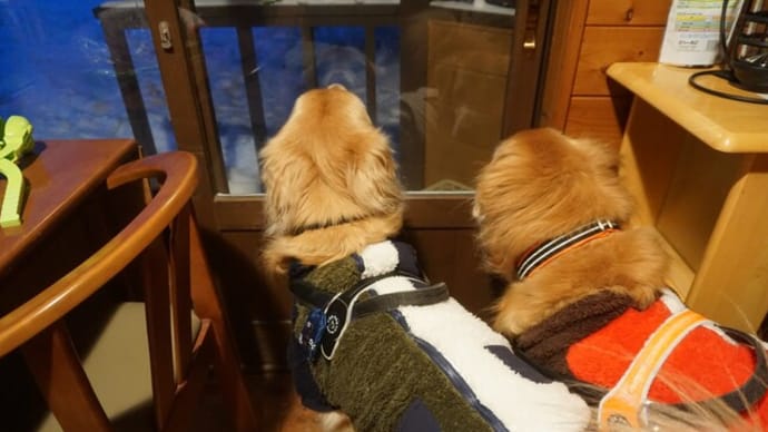信じているから