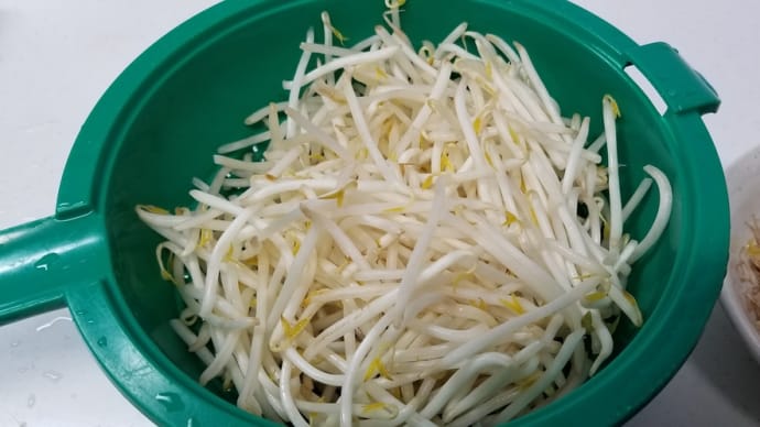 もやしを比べてみた!