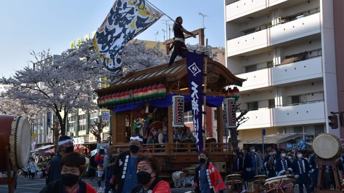 さくら狩り 茨城県日立市平和町 第58回日立さくらまつり:平和通り(4)神輿と桜