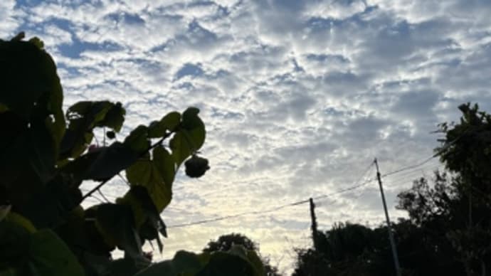 春風/大学共通テスト始まる