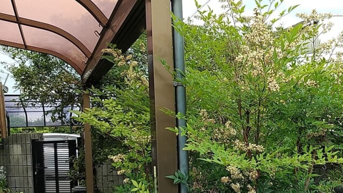 南無阿弥陀仏・・とは?