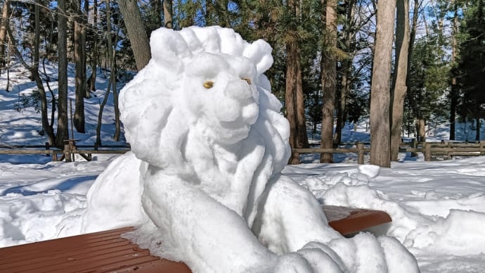 ザラユキライオン🦁と雪リス🐿️と元気なエゾリスたちと。～円山公園＆北海道神宮～