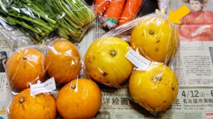 坂ノ途中 野菜と柑橘