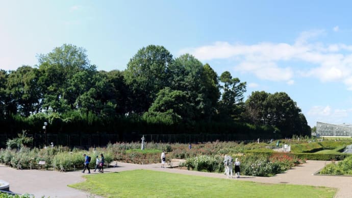10月の神代植物公園