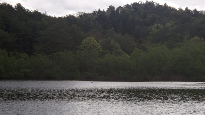 新発田市五十公野公園