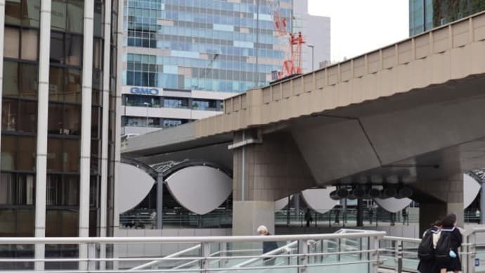 渋谷川コース渋谷ストリーム経由 約6.2km