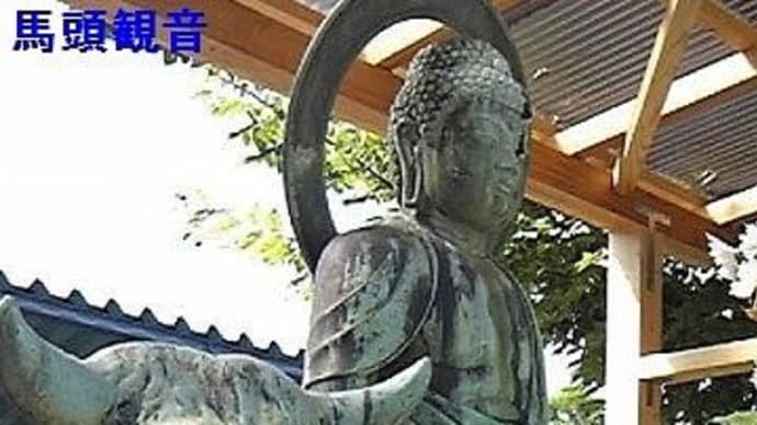 伊吹山で狐が見つけた薬草が人の命と動物の命を救った。日本で初めての京都獣医師大学、京都動物病院が…