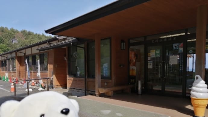 気付いたら写真がコレだけ