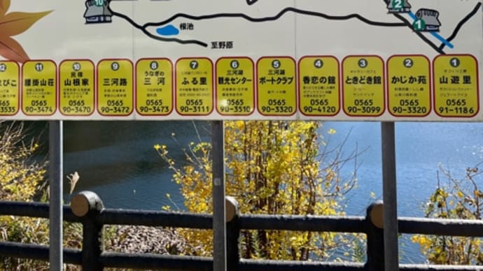 三河湖からの松平東照宮