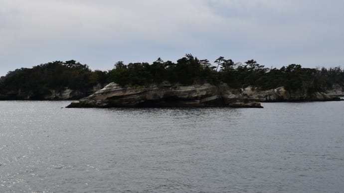 もみじ狩り 宮城県松島町 日本三景松島(4)