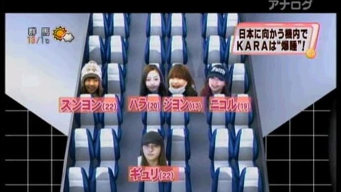 あたたかファミリー「KARA」(2011)