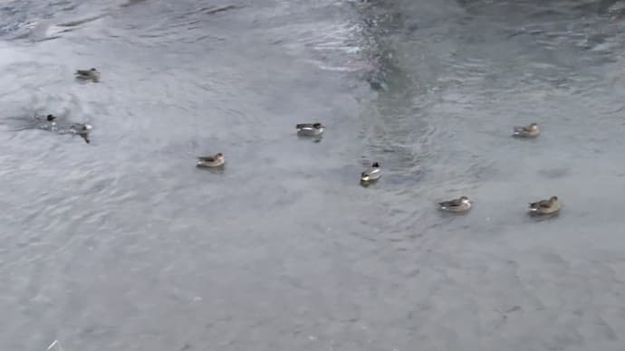 おやすみなさい