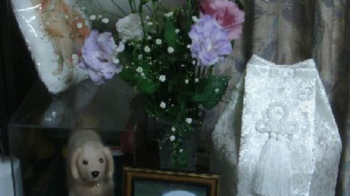 もう一年・・
