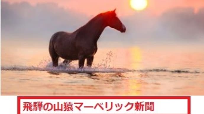 ◎沖縄県知事選2022 立候補予定者 公開討論会