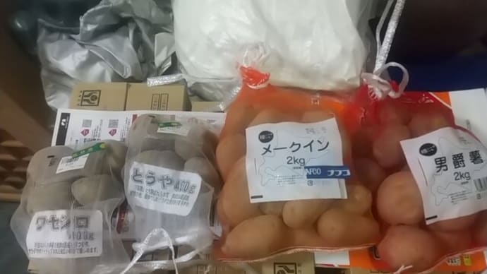 ジャガイモ「種イモ」仕入れる
