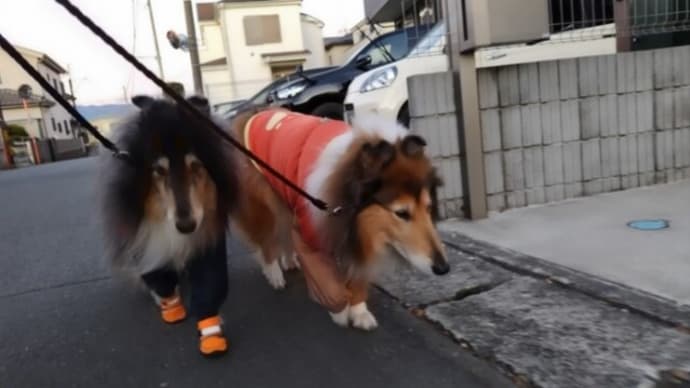 また寝坊😵