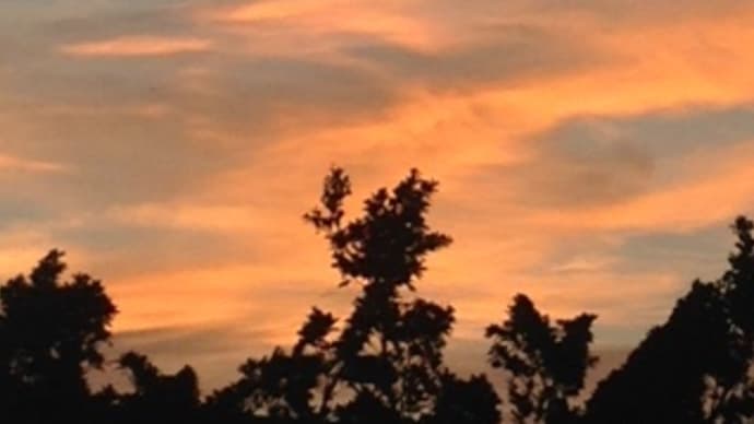 見つけてホッとする夕焼けは良いが、朝焼けなんかは見ない方が良い