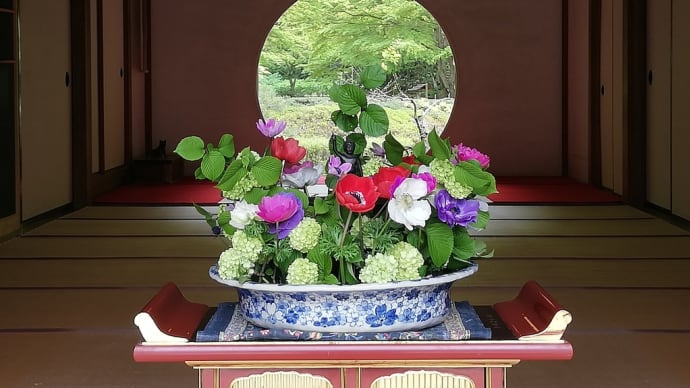 鎌倉でトコトコ~円覚寺と明月院〜