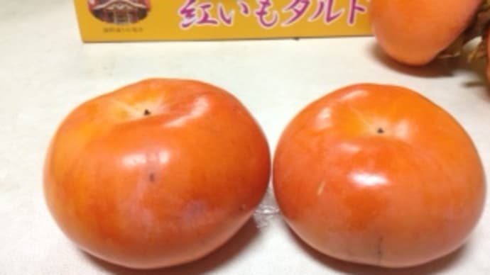 柿は太陽