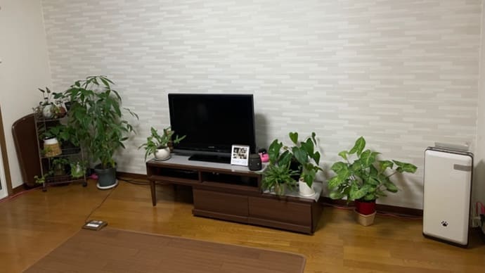 今夜が本当の…