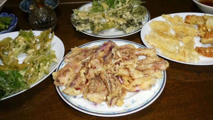 山の恵みは適材適所で