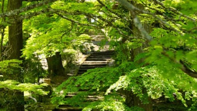 龍穏寺(南丹市)..その2