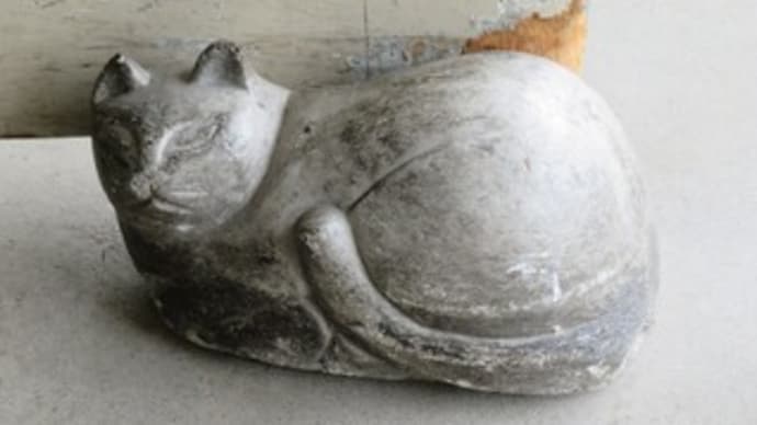 お仕事中の猫