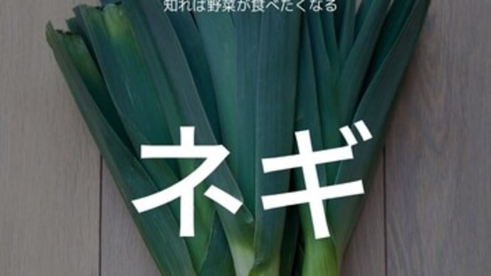 ネギに首をまくはホント?編/365日野菜シリーズ #shorts