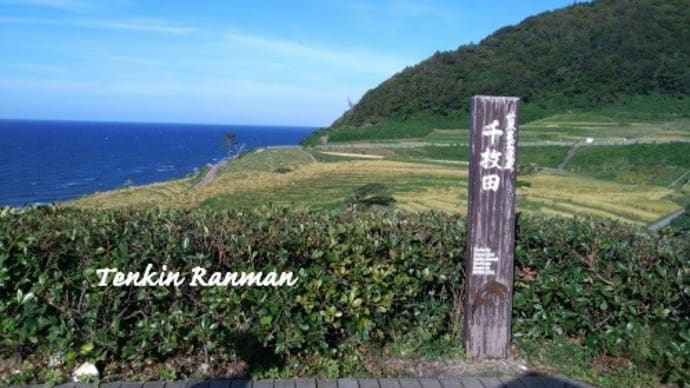 白米千枚田　＊石川　能登半島＊